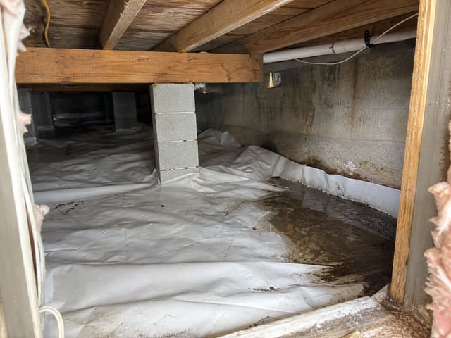 Standing water in crawlspace