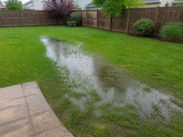 Saturated yard with standing water